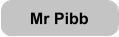 Mr Pibb